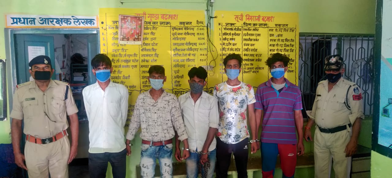 REWA : गोविंदगढ़ पुलिस ने डकैती योजना बना रहे 5 बदमाशों को पकड़ा